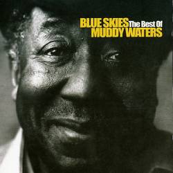Muddy Waters : Blue Skies : The Best Of